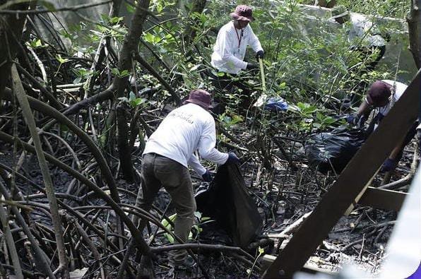 1,5 Ton Sampah Plastik Terkumpul Dalam Bersih Pantai